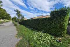 WhatsApp-Image-2025-10-13-at-09.50.29-1 WhatsApp-Image-2025-10-13-at-09.50.29-1