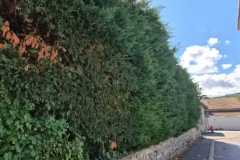 WhatsApp-Image-2025-10-13-at-09.50.29-2 WhatsApp-Image-2025-10-13-at-09.50.29-2