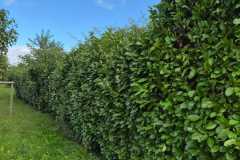 WhatsApp-Image-2025-10-13-at-09.50.29 WhatsApp-Image-2025-10-13-at-09.50.29