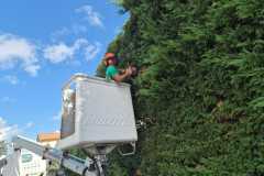 WhatsApp-Image-2025-10-13-at-09.50.30-1 WhatsApp-Image-2025-10-13-at-09.50.30-1