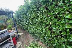 WhatsApp-Image-2025-10-13-at-09.50.30-3 WhatsApp-Image-2025-10-13-at-09.50.30-3