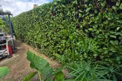 WhatsApp-Image-2025-10-13-at-09.50.30-4 WhatsApp-Image-2025-10-13-at-09.50.30-4