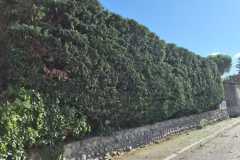 WhatsApp-Image-2025-10-13-at-09.50.30 WhatsApp-Image-2025-10-13-at-09.50.30