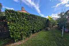 WhatsApp-Image-2025-10-13-at-09.50.31-1 WhatsApp-Image-2025-10-13-at-09.50.31-1