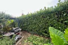 WhatsApp-Image-2025-10-13-at-09.50.31 WhatsApp-Image-2025-10-13-at-09.50.31